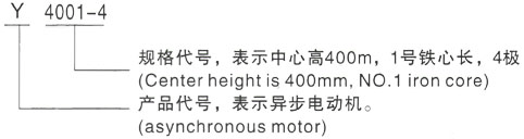 西安泰富西玛Y系列(H355-1000)高压衢江三相异步电机型号说明